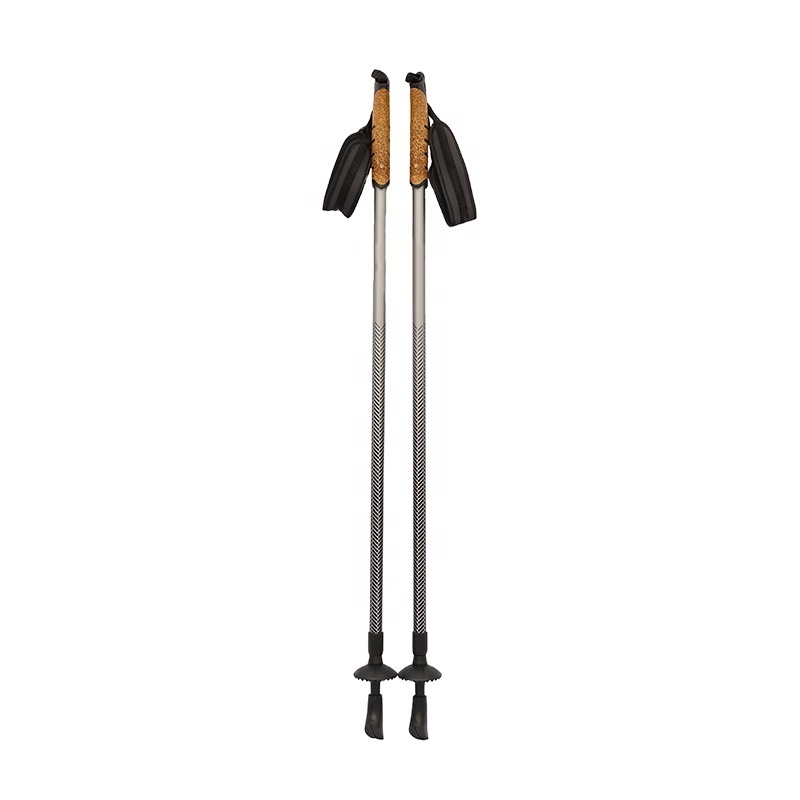 Wholesale Low MOQ Heated Lightweight Cross Country Aluminium 6061 7075 Alpine Ski Poles