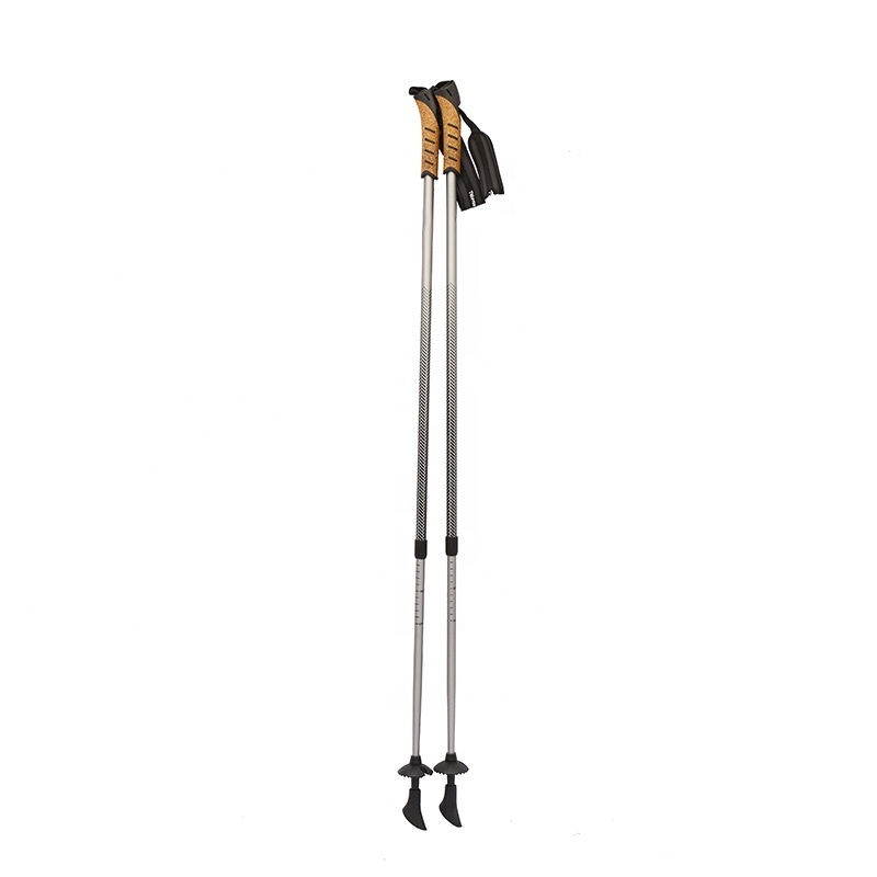 Wholesale Low MOQ Heated Lightweight Cross Country Aluminium 6061 7075 Alpine Ski Poles