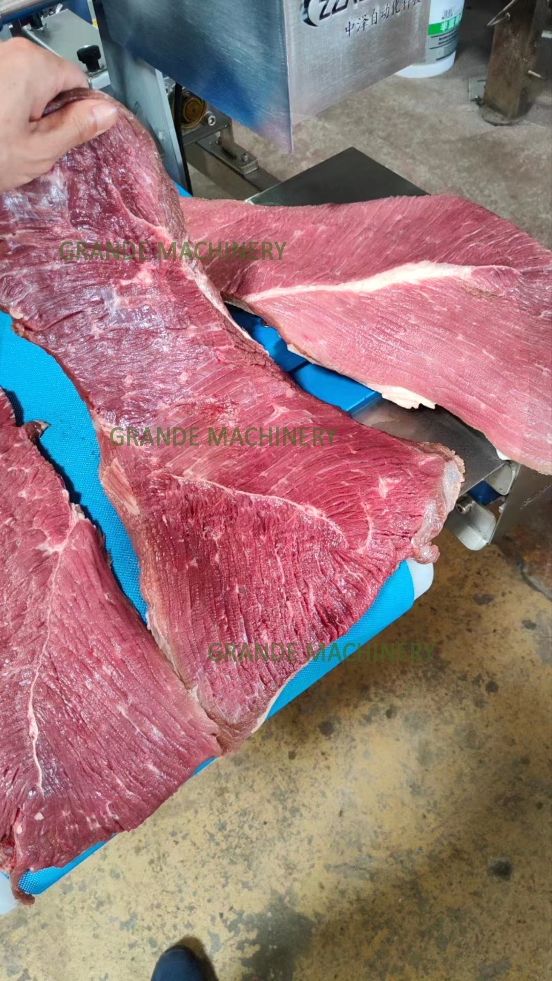 Horizontal Fresh Beef Jerky Slicer/Flake Pork Meat Chicken Breast Fish Squid Salmon Octopus Slicing Cutting Machine for Sale