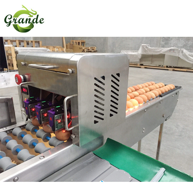 304 Stainless Steel Electronic Egg Grader With Candler