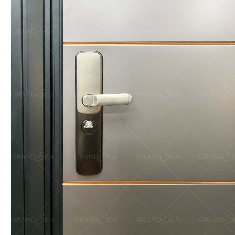 Front low price metal decorative ghana steel security door with 2 locks