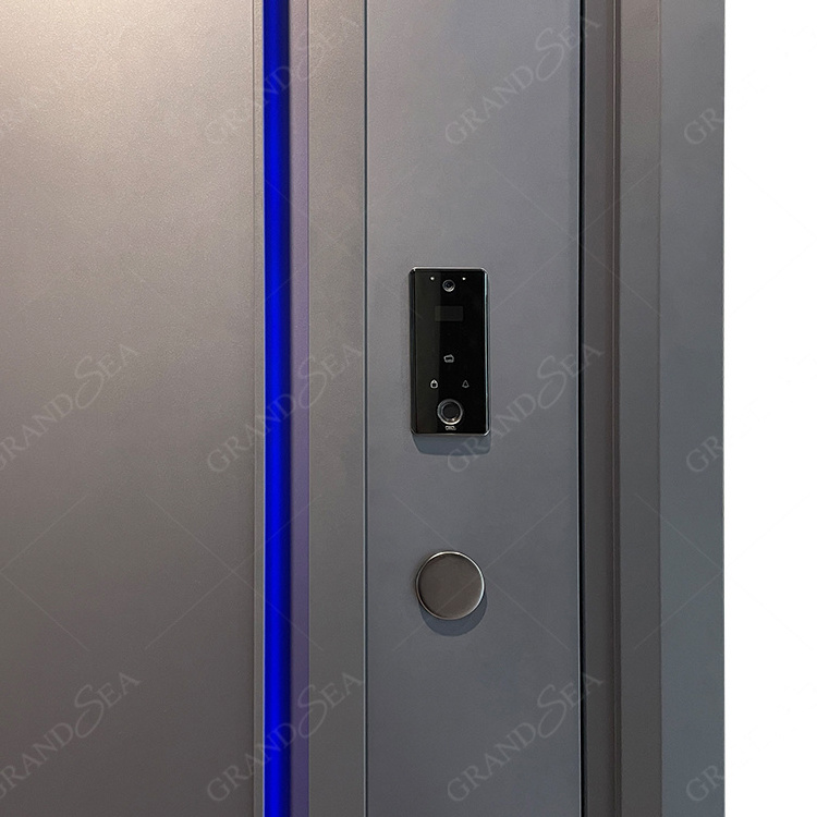 Jamaica Corrosion Resistant Anti-theft Cheap Exterior Security Steel Door Steel Door For Main Entrance