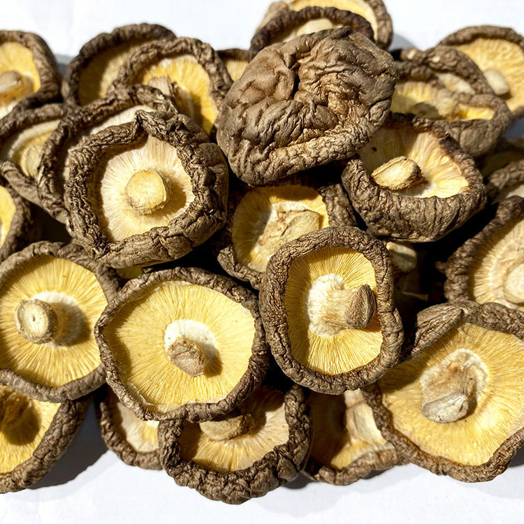 Wholesale Organic Dried Shiitake mushroom best dried shiitake mushroom for dish forest mushoom