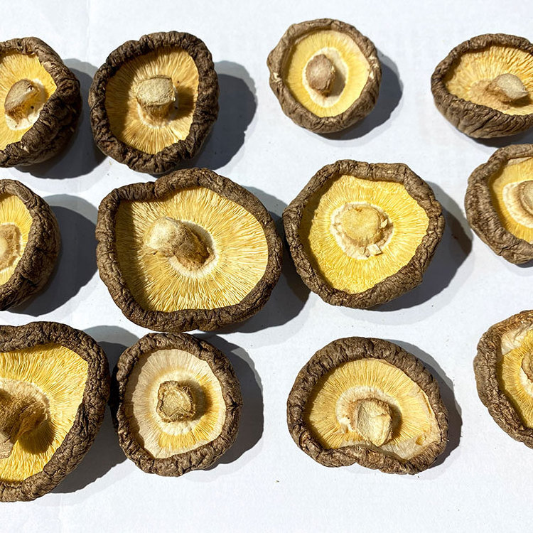 Wholesale Organic Dried Shiitake mushroom best dried shiitake mushroom for dish forest mushoom