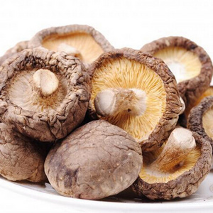 Wholesale Organic Dried Shiitake mushroom best dried shiitake mushroom for dish forest mushoom