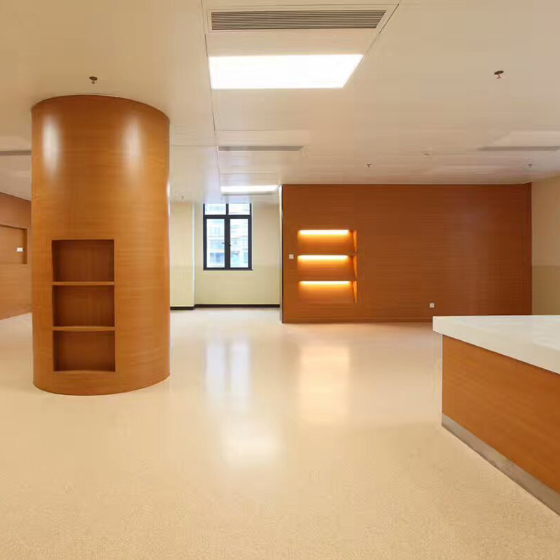 Modern Wooden Interior Wall Panels Wall Covering Hospital Plastic