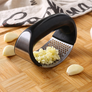 IN STOCK Kitchen Gadgets 304 Stainless Steel Manual Garlic Chopper Mincer Crusher Press Rocker