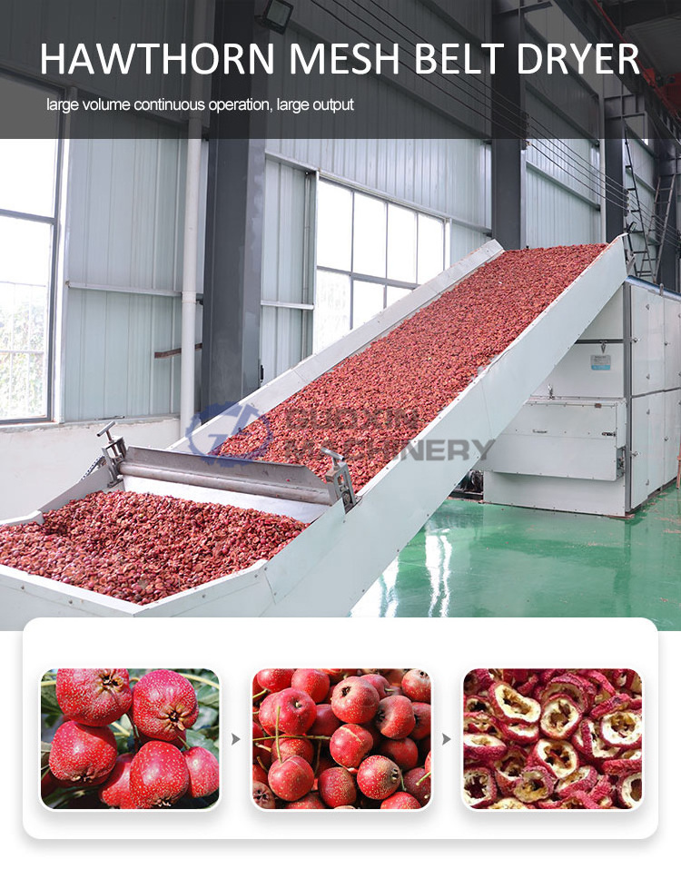 Continuous processing dried cassava chips machine cassava dryer tobacco leaf drying machine fruit and vegetable dehydrator