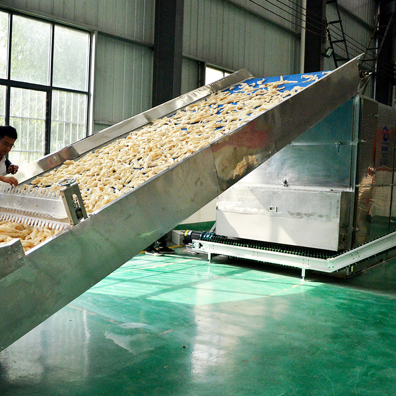 Drying machine dehydrator equipment onion chili ginger garlic continuous belt dryer machine