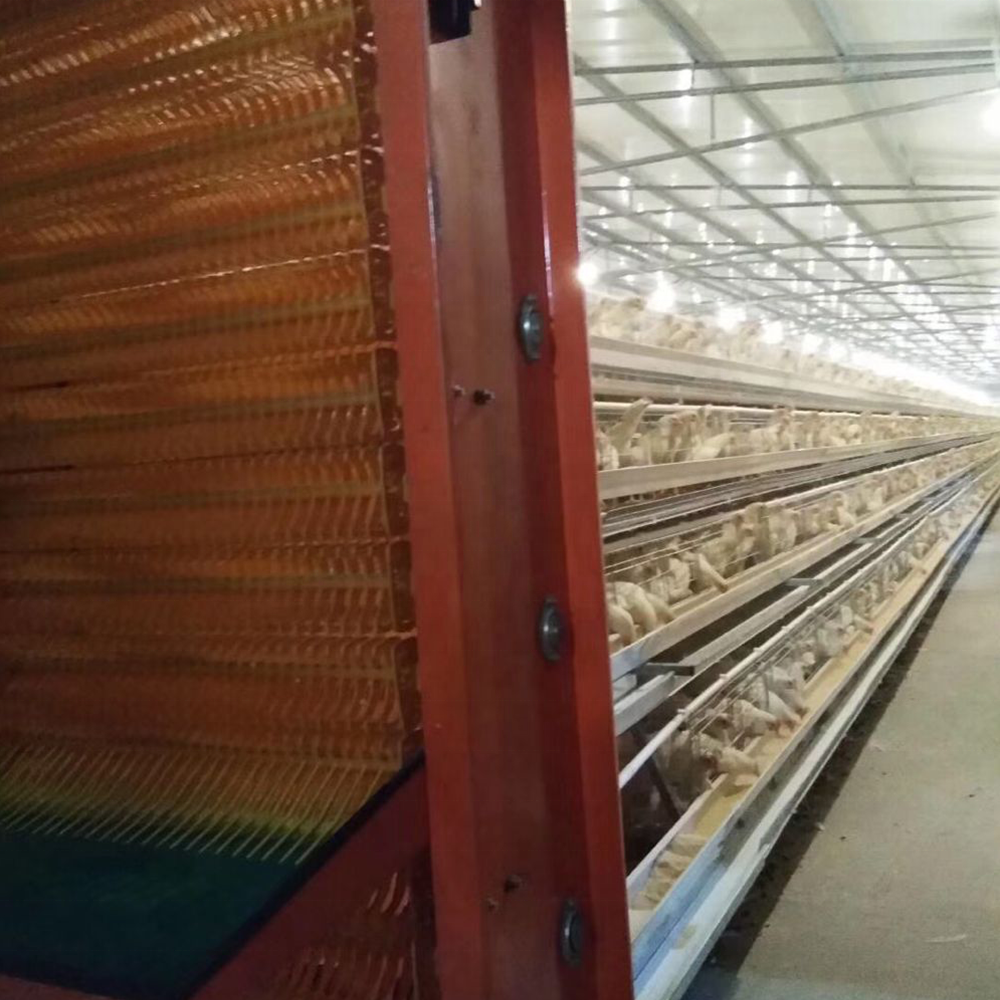 Good price chicken battery cage for poultry eqipment 3-4 layers