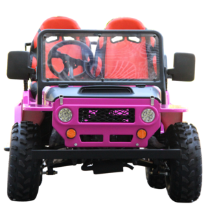 Factory Price Side By 4X4 China Utv For Sale Electric Dune Buggy