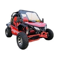 High quality go kart 200cc engine gasoline off road beach dune buggy cross go karts for adults