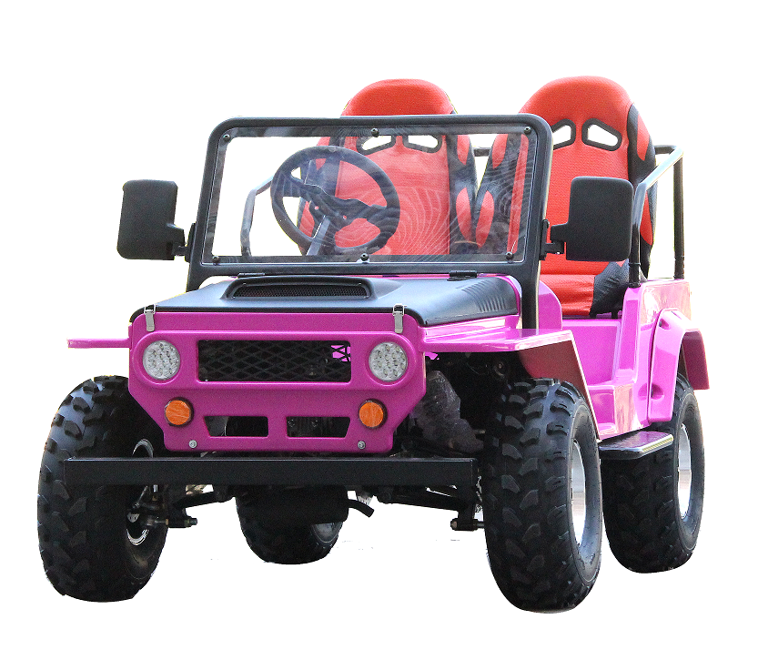 Hot Selling 2 Seater Atv 125Cc Mini Off Road Gas Utv China Cheap Dune Buggy