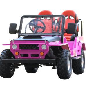 Hot Selling 2 Seater Atv 125Cc Mini Off Road Gas Utv China Cheap Dune Buggy