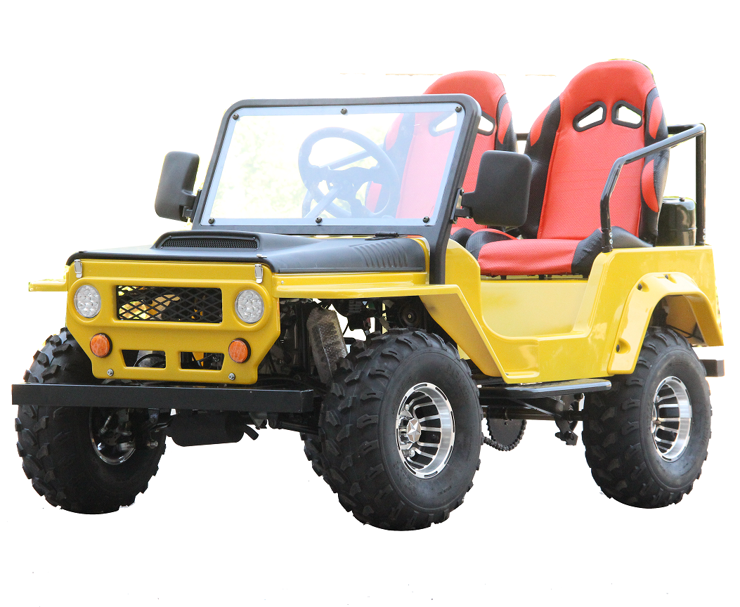 Hot Selling 2 Seater Atv 125Cc Mini Off Road Gas Utv China Cheap Dune Buggy