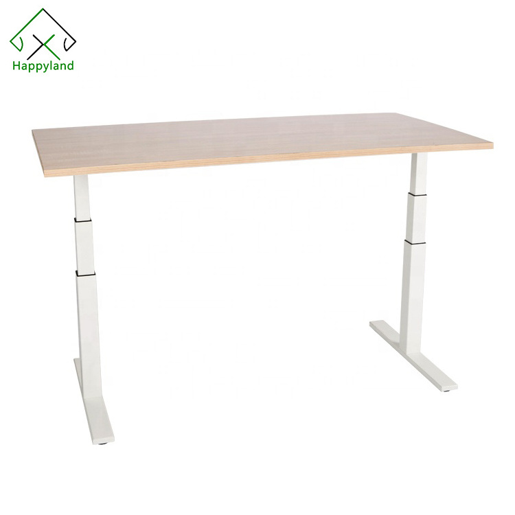 China Factory Electric Office Standing Computer Desk Frame Ergonomic Height Adjustable Children Study Table Desk and Chair