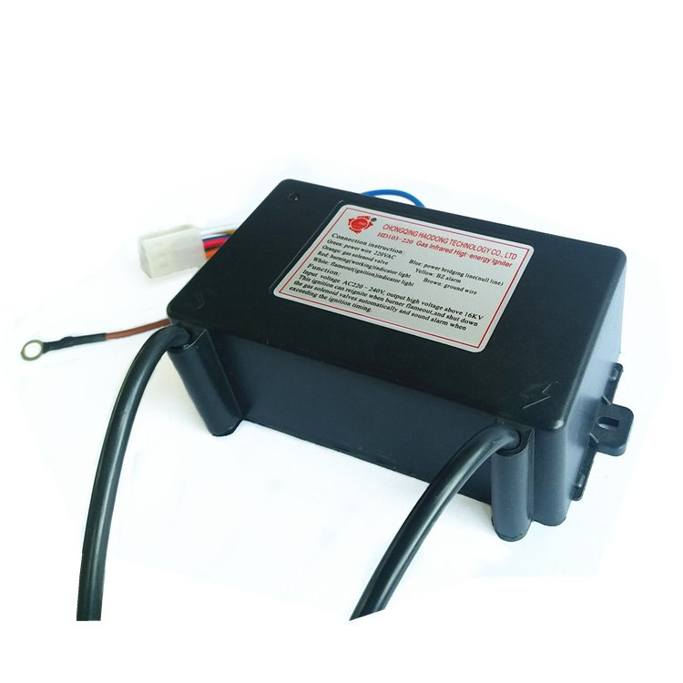 110V& 220V Electric Pulse Igniter for Automatic Gas Fuel,LPG Burner and Heater and Torch