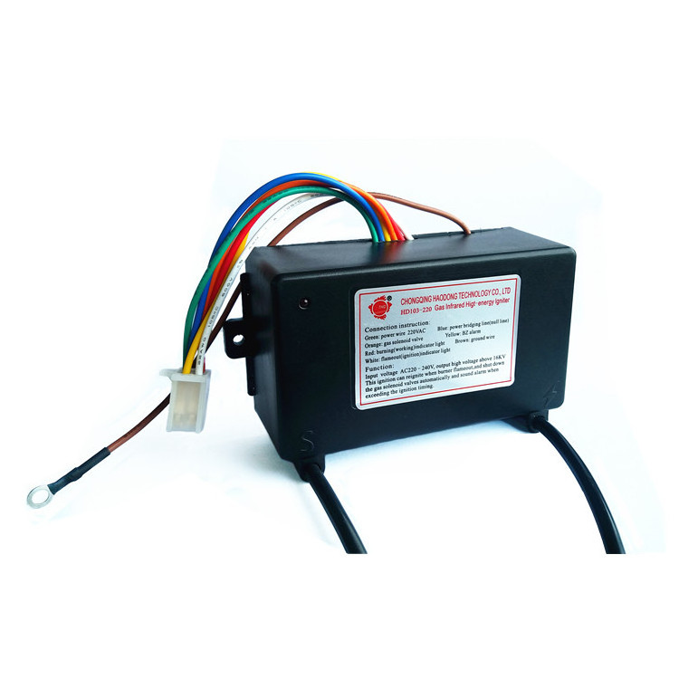 110V& 220V Electric Pulse Igniter for Automatic Gas Fuel,LPG Burner and Heater and Torch