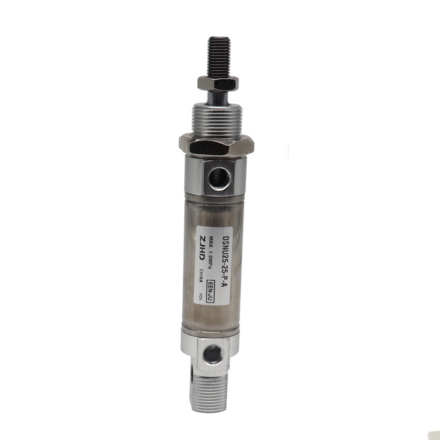 DSNU Bore 8-63mm Stainless Steel Mini Pen Small Air F*ESTO Type Pneumatic Cylinder