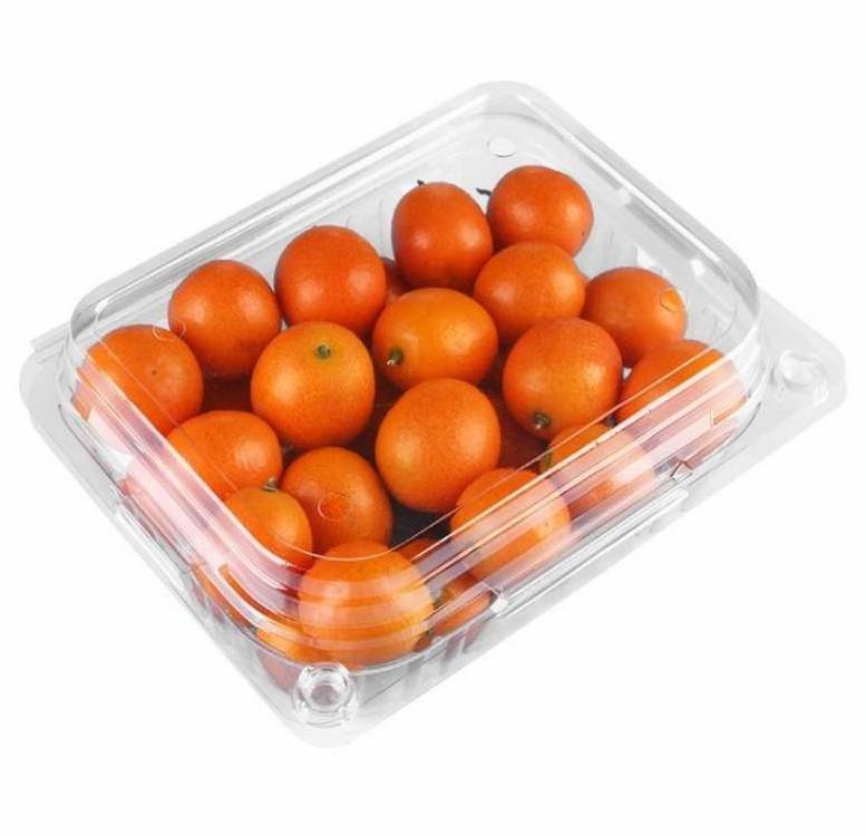 plastic box plastic container for fruits plastic fruit salad container