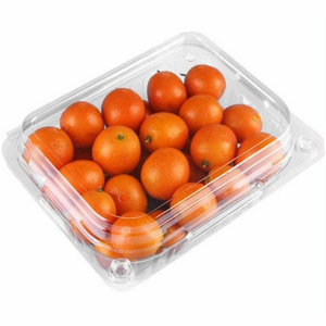 plastic box plastic container for fruits plastic fruit salad container