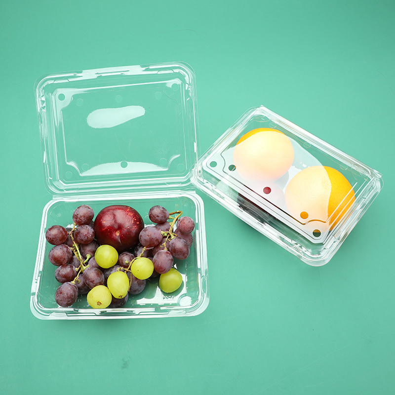 plastic box plastic container for fruits plastic fruit salad container