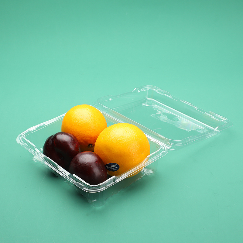 plastic box plastic container for fruits plastic fruit salad container