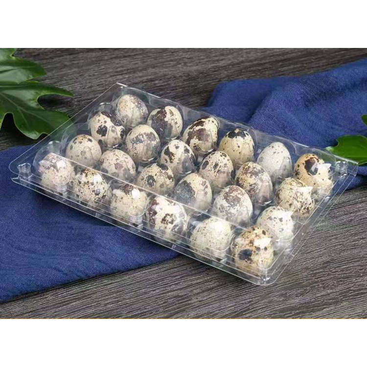 24 Holes Hinged Clamshell Disposable Clear Blister Plastic Quail Eggs Cartons Packaging Egg Trays Supplier