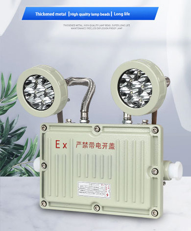 Petroleum Petrochemical Explosion Proof Emergency Light Led Module Double head emergency lamp Exit Lights