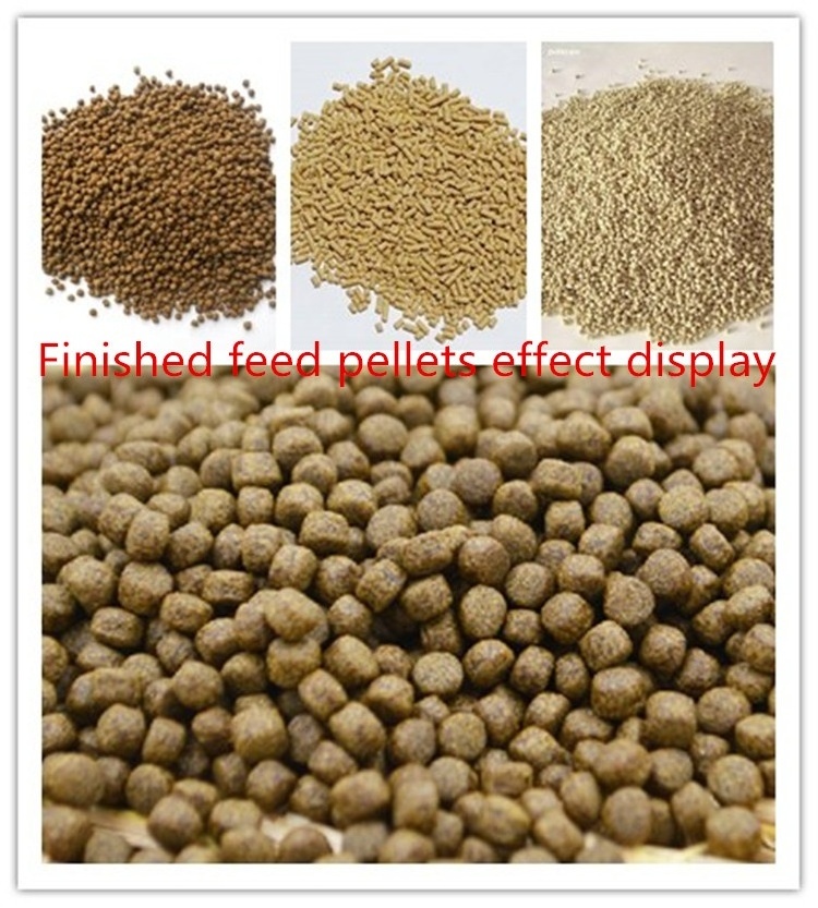 2022 hot sale  feed extruder production line fish feed Dog food and cat food pellet machine floating feed extruder machine