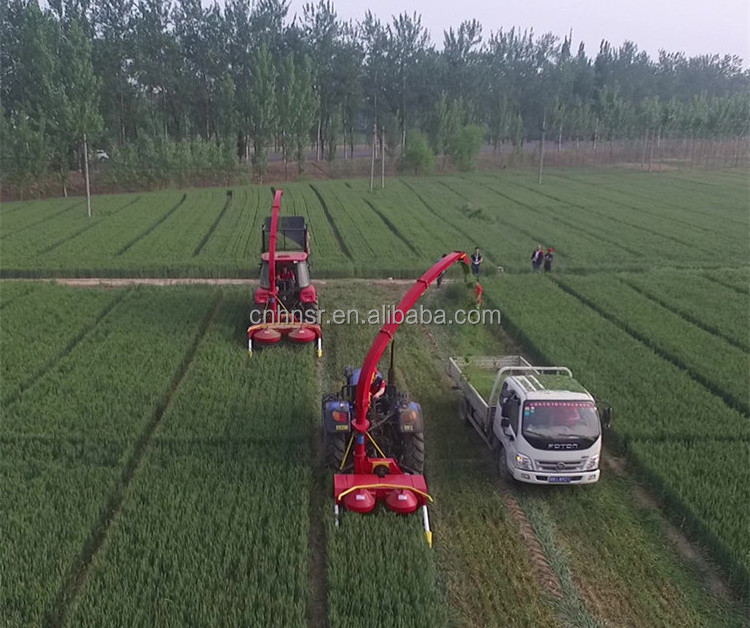 Double Row Silage Forage Harvester Combine Mini Wheat Harvester Corn Harvester Machine