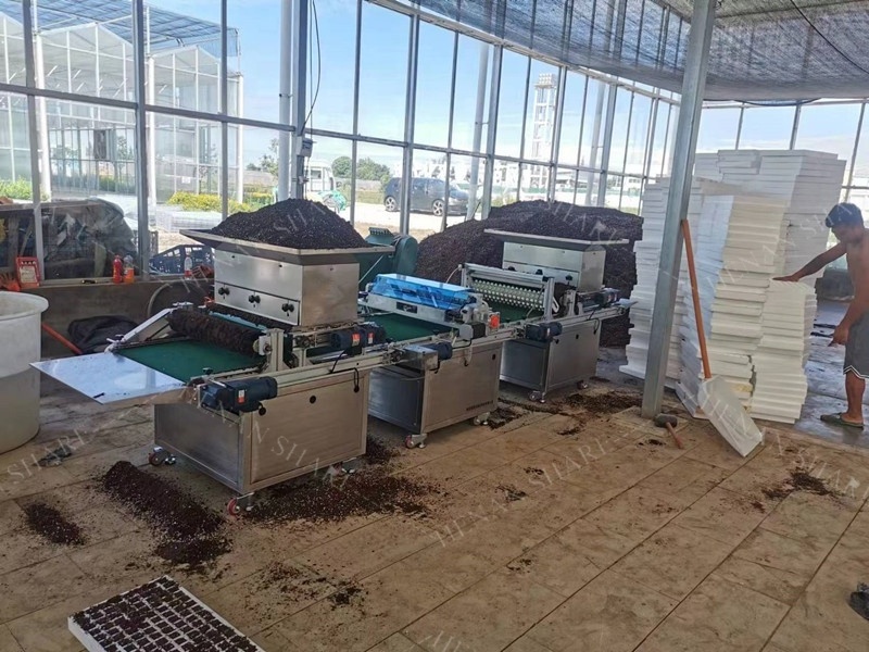 Small Seed Planting Machine Tray Seed Planting Sowing Machine Automatic Seed Planting Machine