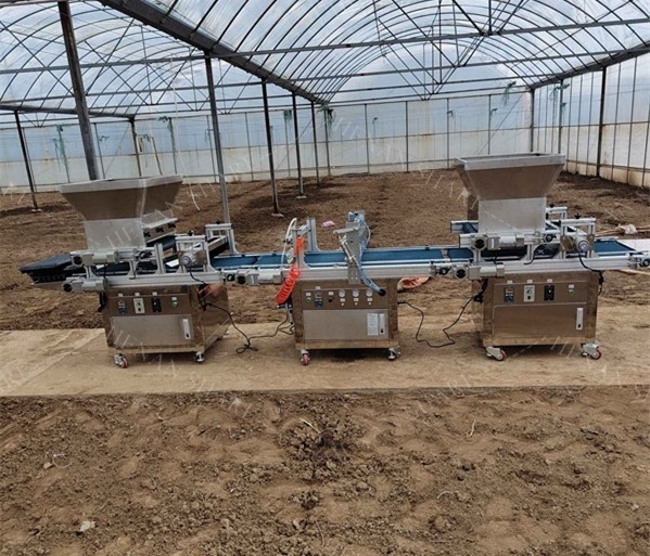 Small Seed Planting Machine Tray Seed Planting Sowing Machine Automatic Seed Planting Machine