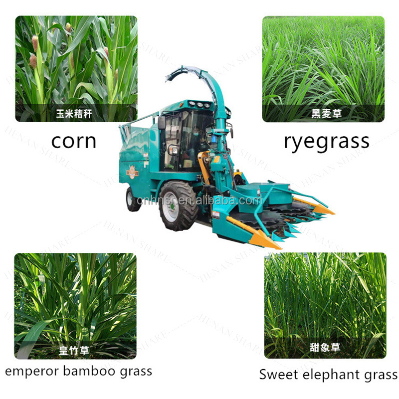 Double Row Silage Forage Harvester Combine Mini Wheat Harvester Corn Harvester Machine