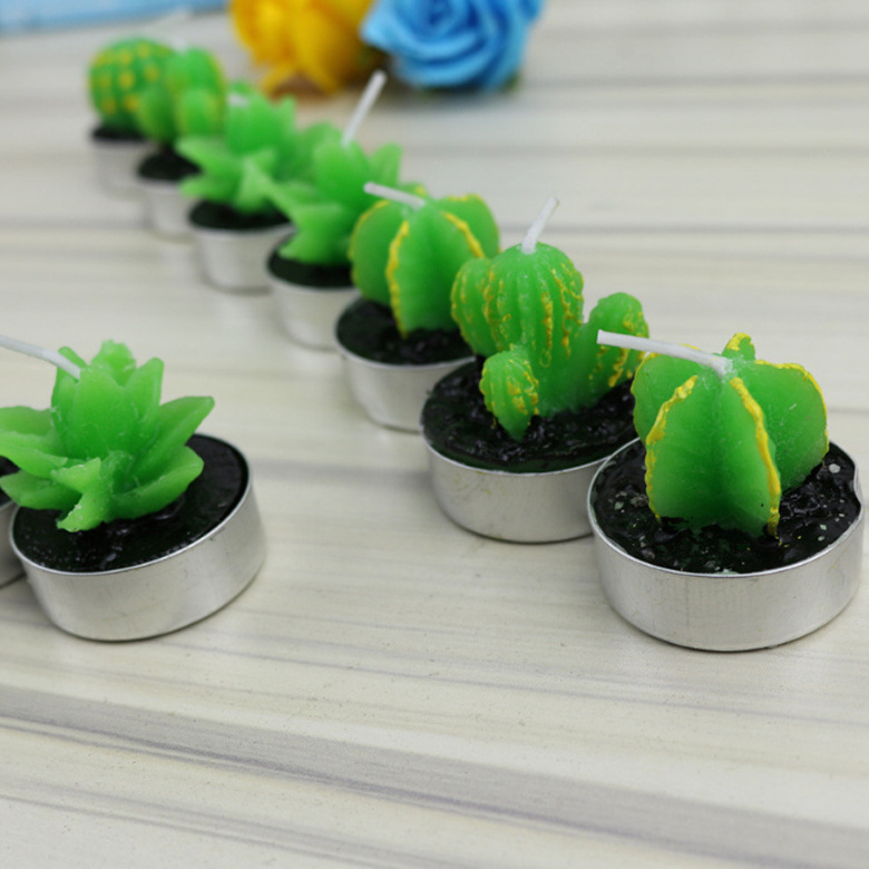 Mini Handmade custom delicate succulent cactus candles scented plant candle