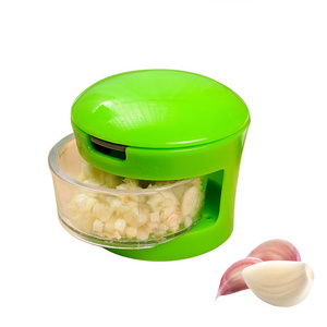 Mini Portable Stainless Steel Garlic Press Chopper Slicer Hand Presser Grinder Crusher Kitchen Tool Garlic Grater