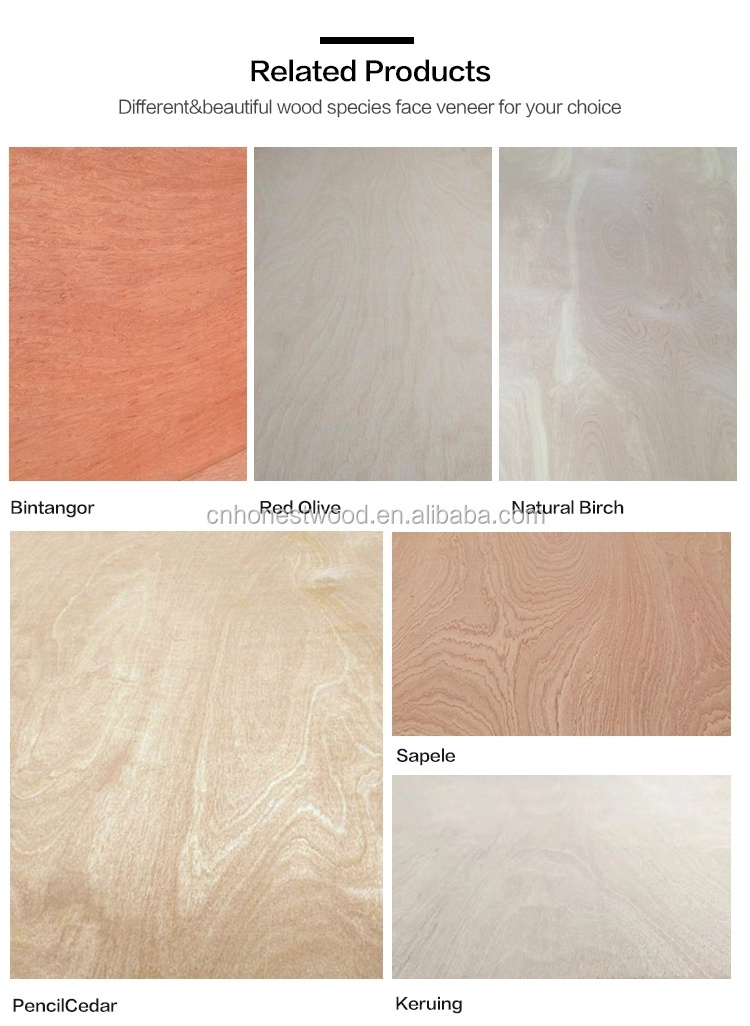 flexible plywood bend wood sheet birch veneer plywood  coated paper melamine faced particle laminated pencil cedar faced plywood