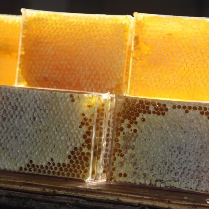 Bulk Natural Honey HACCP Certificate Organic Raw Nee Honey Comb