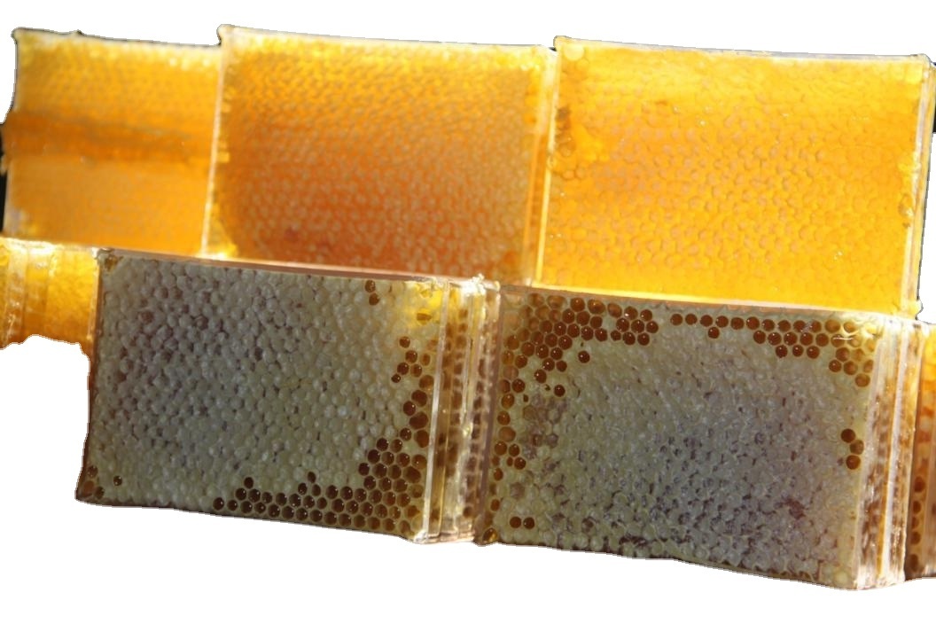 Bulk Natural Honey HACCP Certificate Organic Raw Nee Honey Comb