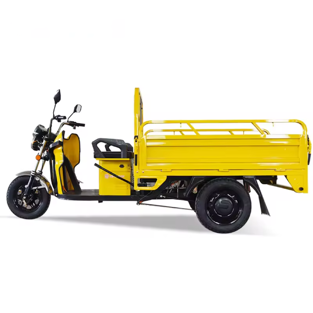 Cargo Delivery 3 wheel Electric Tricycles Electric three wheeler cargo 1000W EEC electric trike scooter Cargo bike