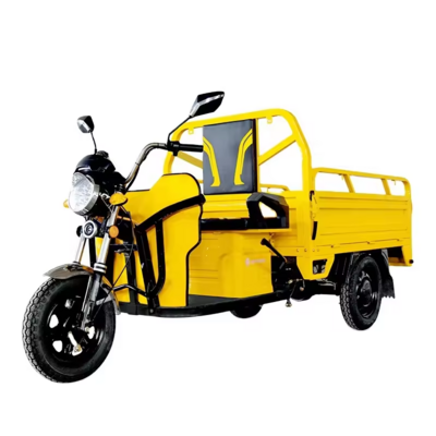 Cargo Delivery 3 wheel Electric Tricycles Electric three wheeler cargo 1000W EEC electric trike scooter Cargo bike