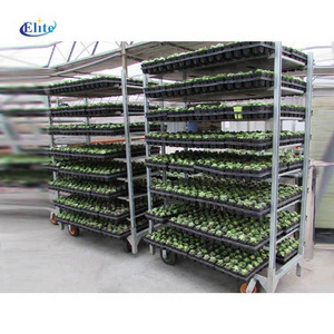 CC cart/ dutch flower trolley/ steel frame trolley with plywood shelf