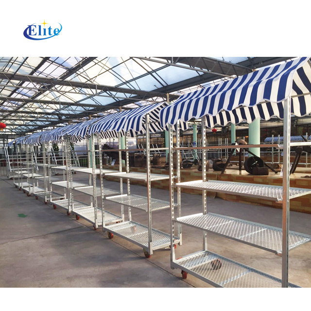 Danish trolley,CC containers,pool rack