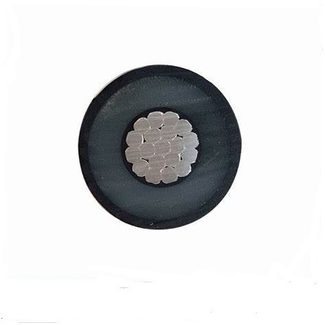 ACSR/AAC/XLPE/HDPE ICEA S-66-524 Tree Wire 15 Kv 2-layer Black Aluminum HDPE Medium Voltage XLPE Power Cable