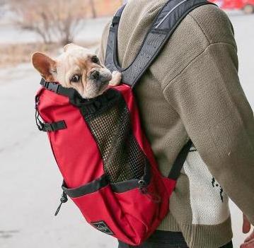 Amazon Dog Backpack Carrier for Small Medium Large Puppy Backpack Extra Pockets Adjustable Pet Backpack for Bike Hiking Bike