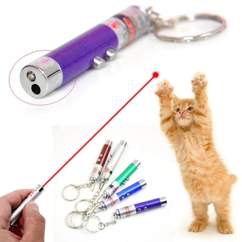 Laser Funny Cat Stick New Cool 2 In1 Red Laser Pointer Pen With White LED Light Children Play Cat Toy Training Tool