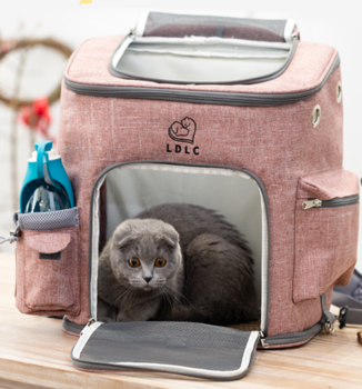 2023 hot selling Stock Cat Carrier Outdoor Accept custom logo For Two Cats Hot Sale Large Pet Carrier Backpack Big Cat Carrier