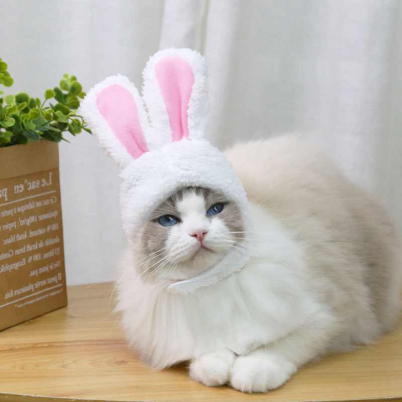 Funny Cat Headgear Cute Rabbit Ears Cap for Cats Warm Plush Pet Hat Christmas Cosplay Props Photo Kitten Head wear Supplies