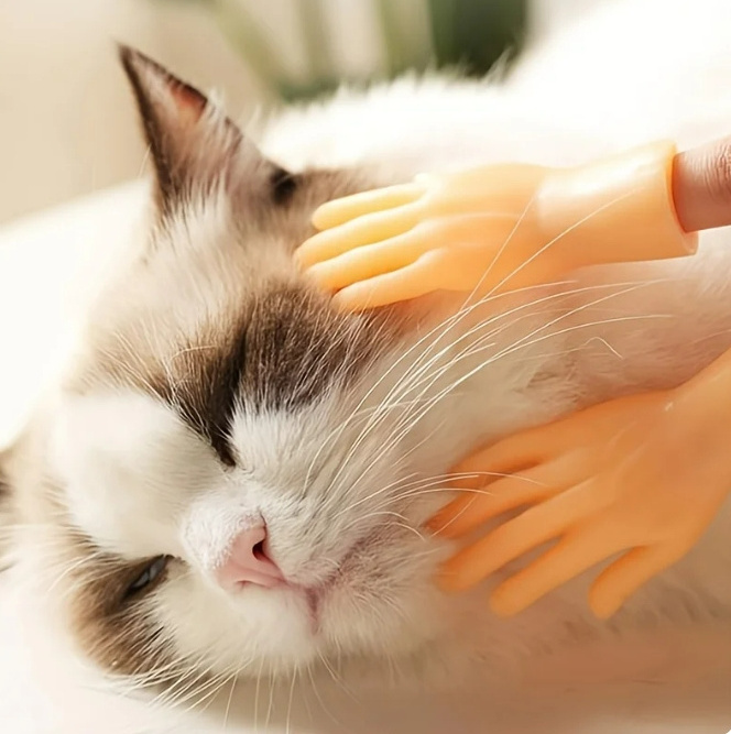 Cat Toy Interactive Rubber Pet Finger Gloves for Stroking Cat Face Head Massager Toys for Cats Play Kitten pet products