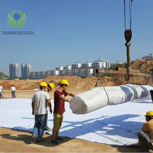 Bentonite clay liner Factory price sodium bentonite geosynthetic clay liner for construction projects waterproof blanket